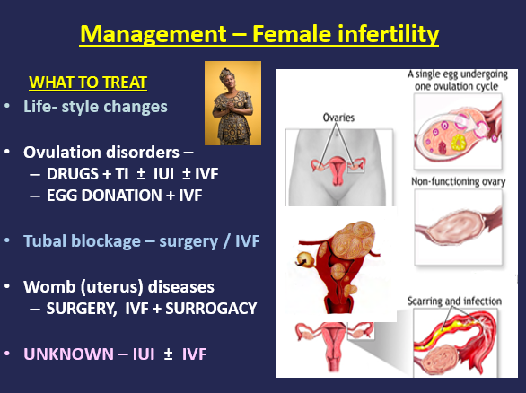 management female infertility